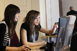Web Design Devon